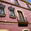 IMGP0065.jpg