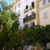IMGP0068.jpg