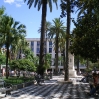 IMGP0070.jpg