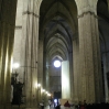 IMGP0089.jpg