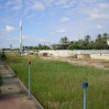 IMGP0130.jpg