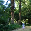 IMGP0153.jpg
