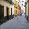 IMGP0182.jpg