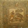IMGP0255.jpg