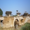 IMGP0259.jpg
