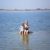 IMGP0273.jpg