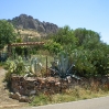 IMGP0283.jpg