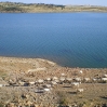 IMGP0292.jpg