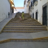 IMGP0295.jpg