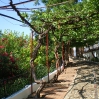IMGP0298.jpg