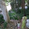 IMGP0304.jpg