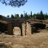 IMGP0311.jpg